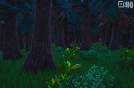 Image result for Ewok Forest