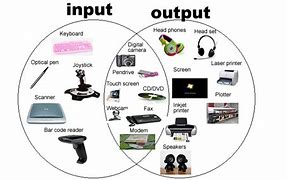 Image result for Input and Output with Daily Activity