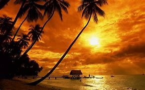 Image result for Sunset Live Wallpaper 4K