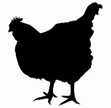 Image result for Chicken Silhouette