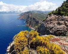 Image result for Porto Corsica