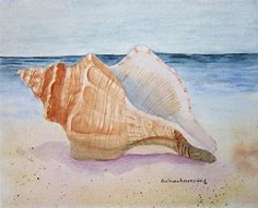 Image result for Painting Sea Shells Kit