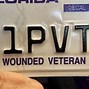 Image result for Florida License Plate