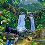 Image result for Caracteristicas De La Selva