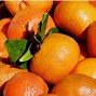 Image result for Orange Tangerine Hybrid