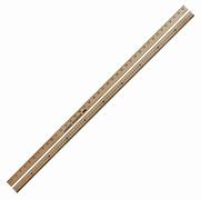 Image result for Catch a Meter Ruler Stick