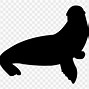 Image result for Sea Lion PFP