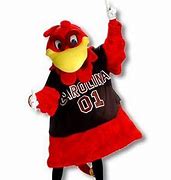 Image result for Cocky Mascot