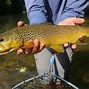 Image result for Fly Fishing Scenery