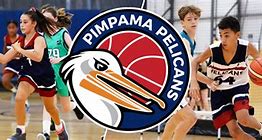 Image result for Pelham Pelicans