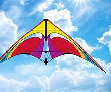 Image result for Mex Kites