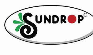 Image result for Sun Drop Logo