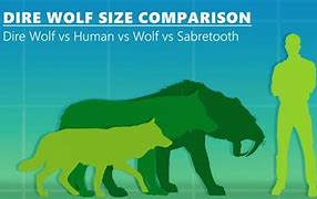 Image result for Aelurodon vs Dire Wolf