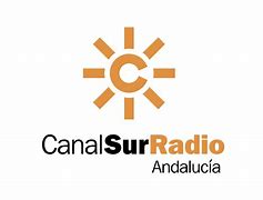 Image result for Canal Sur Television Logo Black