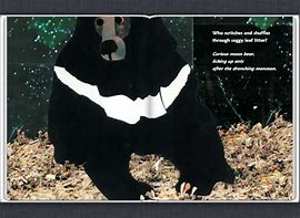 Image result for Moon Bear Books