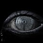 Image result for Dark Eye Shades