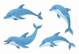 Image result for Dolphin Vcetor