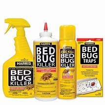 Image result for Tempo Bug Spray