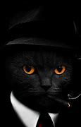 Image result for Black Cat Background 4K