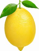 Image result for Lemon Karrtun