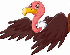 Image result for Cute Vulture