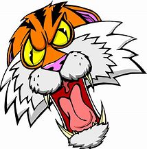 Image result for Mad Tiger Cartoon