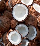 Image result for Coconut