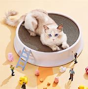 Image result for Cat Scratching Board