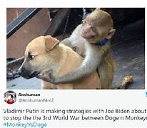 Image result for Monkey Setup Meme