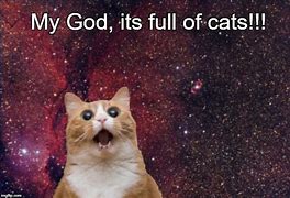 Image result for Outer Space Cat Meme