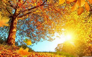 Image result for Beautiful Fall Scenery Wallpaper