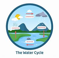 Image result for Water Cycle Illustration