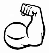 Image result for Drawings of Biceps