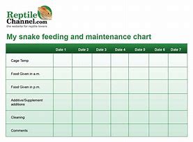 Image result for Reptile Feeding Chart