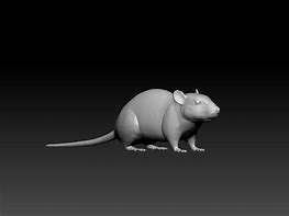 Image result for 3D Rat Printable