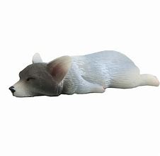 Image result for Keji Dog