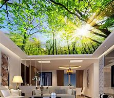 Image result for 3D Ceiling Murals