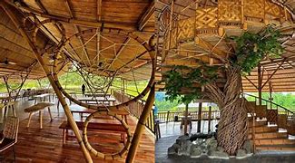 Image result for Siniloan Forest Park