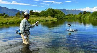 Image result for New Zealand Fly Fishing