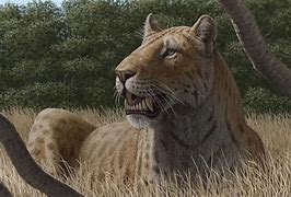 Image result for Sabertooth Tiger Clone