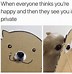 Image result for funny memes no text animals