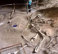 Image result for Fake Giant Human Skeleton