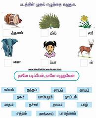 Image result for Year 3 Tamil Worksheets Science