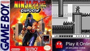 Image result for Ninja Gaiden Shadow