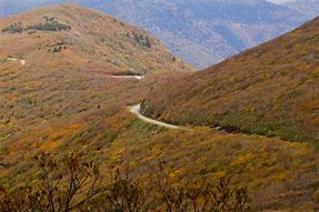 Image result for Craggy Blue Ridge Parkway