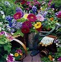 Image result for Spring Evening in the Country