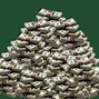 Image result for Stacks of Money Bricks