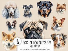 Image result for Dog Breed Faces