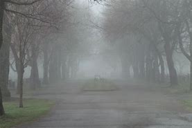 Image result for Foggy Graveyard