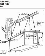 Image result for Barn Owl Nest Box Patterns